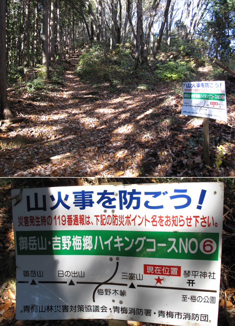 20151127hike (79)